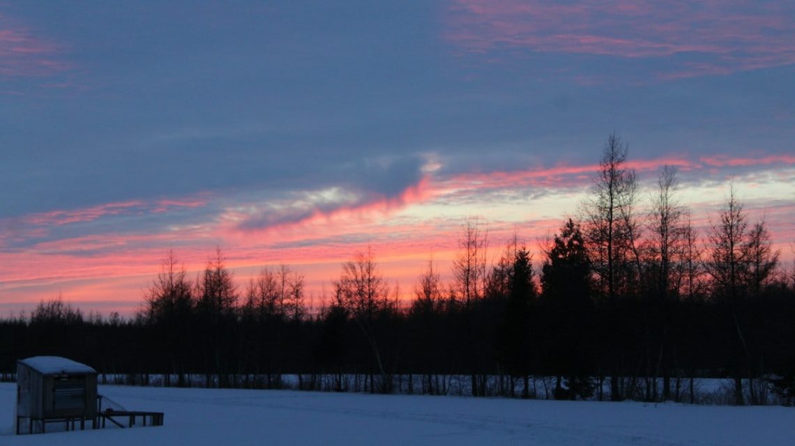 a snowy field with trees in the background