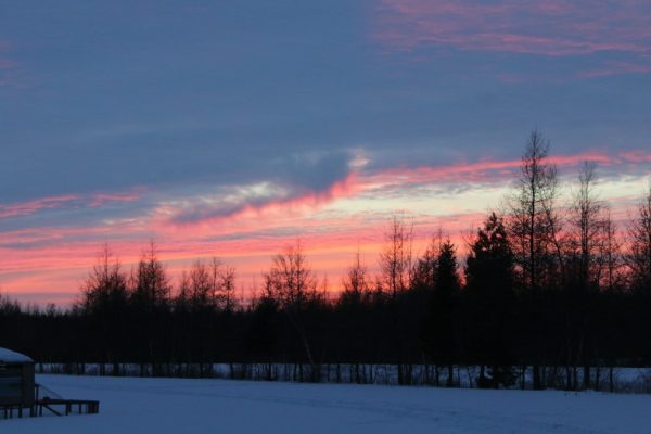 a snowy field with trees in the background